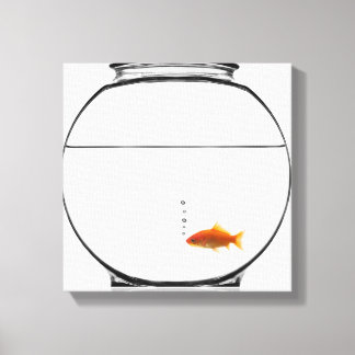 Goldfisch in Schüssel Leinwanddruck
