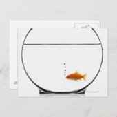 Goldfisch in Schüssel Postkarte (Vorne/Hinten)