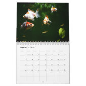 Goldfisch-Kalender 2025 Kalender (Feb 2026)