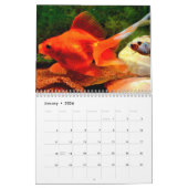 Goldfisch-Kalender 2025 Kalender (Jan 2026)