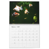 Goldfisch-Kalender 2025 Kalender (Feb 2027)