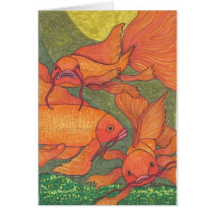 Goldfisch - Koi