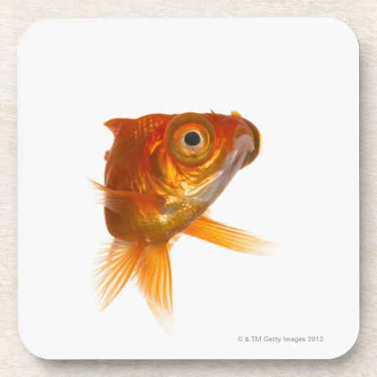 Goldfisch mit großen Augen 3 Getränkeuntersetzer (Vorderseite)