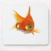 Goldfisch mit großen Augen Mousepad (Vorne)