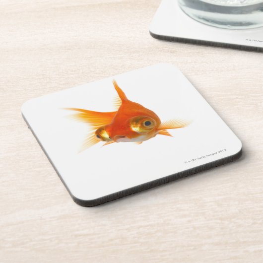 Goldfisch mit großen Augen Untersetzer (Linke Seite)