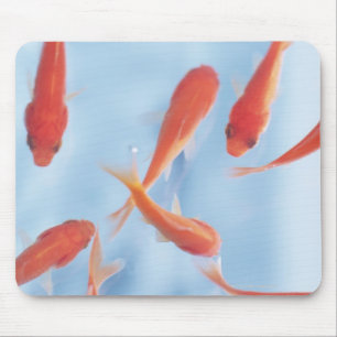 Goldfisch Mousepad