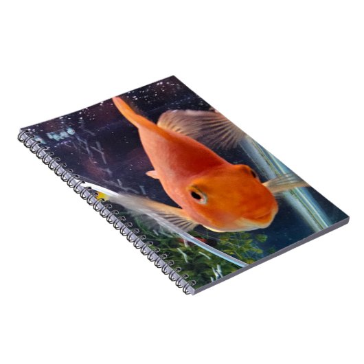 Goldfisch Notizblock (Rechte Seite)