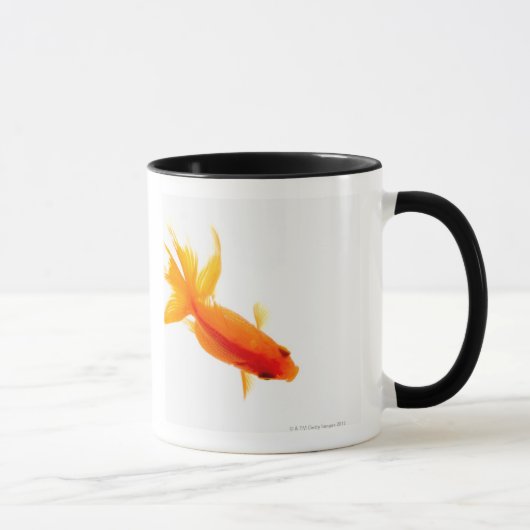 Goldfisch, obenliegende Ansicht Tasse (Rechts)