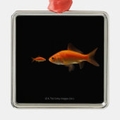 Goldfisch Ornament Aus Metall (Vorne)