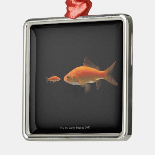 Goldfisch Ornament Aus Metall (Links)