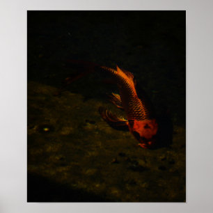 Goldfisch Poster