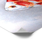 Goldfisch Poster (Ecke)