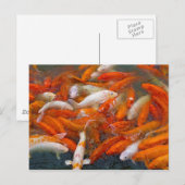 Goldfisch Postkarte (Vorne/Hinten)
