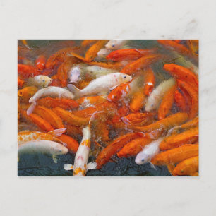 Goldfisch Postkarte