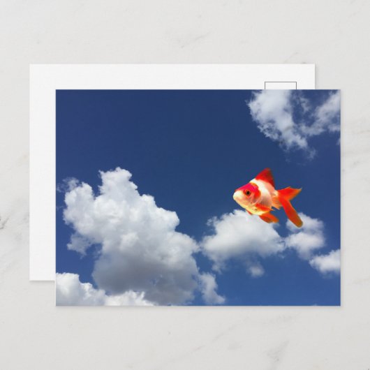 Goldfisch Postkarte (Vorne/Hinten)