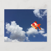 Goldfisch Postkarte (Vorderseite)