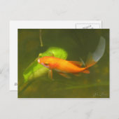 Goldfisch Postkarte (Vorne/Hinten)