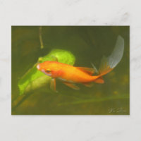 Goldfisch