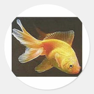 Goldfisch Runder Aufkleber