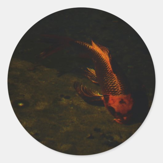 Goldfisch Runder Aufkleber (Vorderseite)
