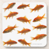 Goldfisch Untersetzer (Vorderseite)