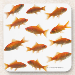 Goldfisch Untersetzer