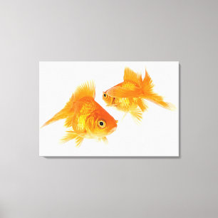 Goldfisch zwei, der sich kreuzt leinwanddruck