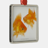 Goldfisch zwei, der sich kreuzt ornament aus metall (Rechts)