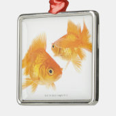 Goldfisch zwei, der sich kreuzt ornament aus metall (Links)