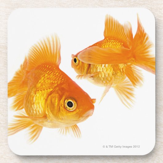 Goldfisch zwei, der sich kreuzt untersetzer (Vorderseite)