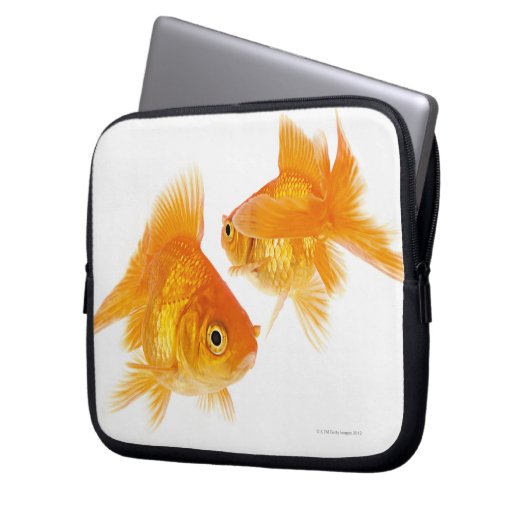 Goldfisch zwei laptopschutzhülle (Vorderseite Links)