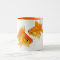 Goldfisch zwei
