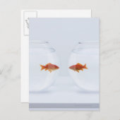 Goldfische in separaten Fischschalen, die direkt n Postkarte (Vorne/Hinten)