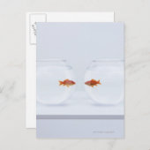Goldfische in separaten Fischschalen, die von Ange Postkarte (Vorne/Hinten)