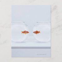 Goldfische in separaten Fischschalen, die von Ange