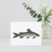 Goldfische Postkarte (Stehend Vorderseite)