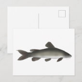 Goldfische Postkarte (Vorne/Hinten)