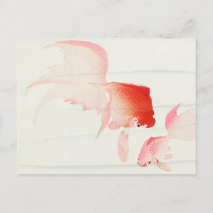 Goldfische von Ohara Koson Postkarte