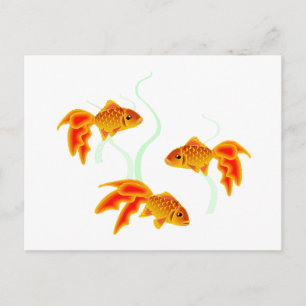 Goldfischerei Postkarte