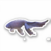 Goldfischfotografie Aufkleber (Vorderseite)