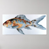 Goldfischportfolio Shubunkin Poster (Vorne)