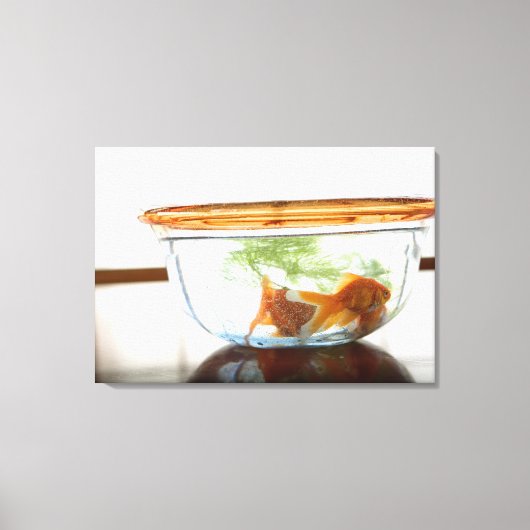 Goldfischschale Leinwanddruck (Vorderseite)