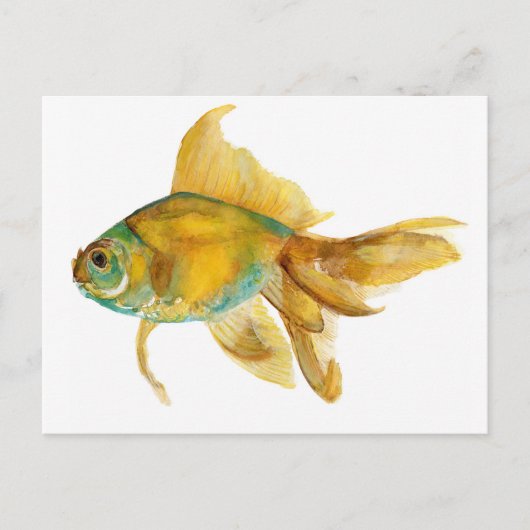 goldfish2.jpg postkarte (Vorderseite)