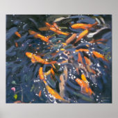 Goldfish 2010 poster (Vorne)