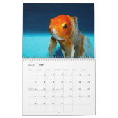 Goldfish 2018 kalender (Mär 2027)