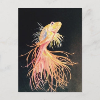 Goldfish (2).jpg postkarte