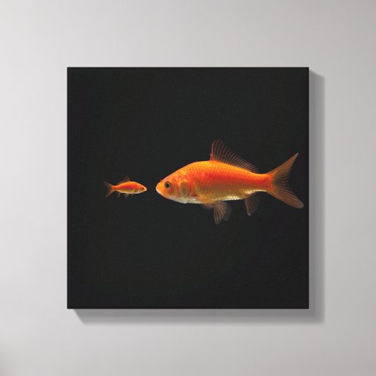 Goldfish 2 leinwanddruck (Vorderseite)