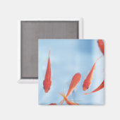 Goldfish 2 magnet (Vorderseite/Rückseite)