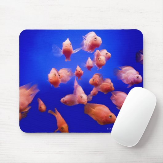 Goldfish 2 mousepad (Mit Mouse)