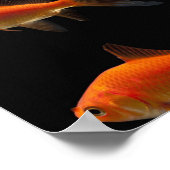 Goldfish 2 poster (Ecke)